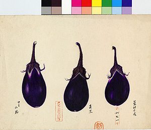 大正時代に書かれた寺島ナスの細密画