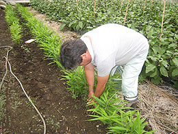 目黒区八雲で季節野菜を１５～１８種類手がける栗山道彦氏