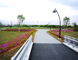 この6月に追加開園した水元公園 この6月に追加開園した水元公園