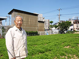 功さん自慢の鮎たで畑が一面に広がる