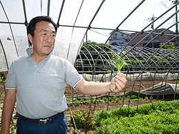 後継者の徳雄さん。鮎たでの葉はピリッとツンが重なったような辛さ。