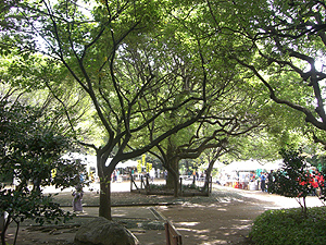 インタープリターが常駐する駒場野公園