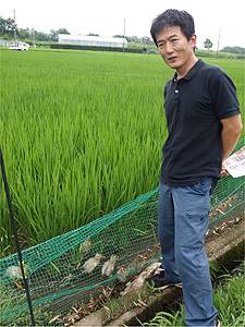 肥料も自家製の堆肥と米ぬかを使用する徹底ぶり