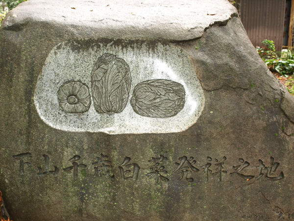 「下山千歳白菜発祥之地」の石碑