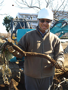 滝野川ごぼうを生産する岸野さん