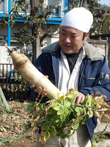 昨年から取り組みを始めた「伝統大蔵大根」は地元の消費者にも好評だ