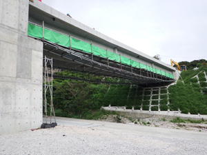 写真５　鉄砲場地区に架設された天上橋