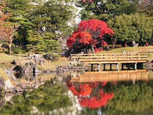 旧芝離宮恩賜庭園の紅葉の様子（提供：公益財団法人東京都公園協会）