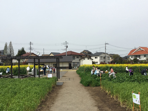 区立成田西ふれあい農業公園