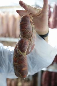豚の盲腸に腸詰されるンドゥイヤは、その形状も独特。全体の厚さを均一にして熟成のムラをなくす