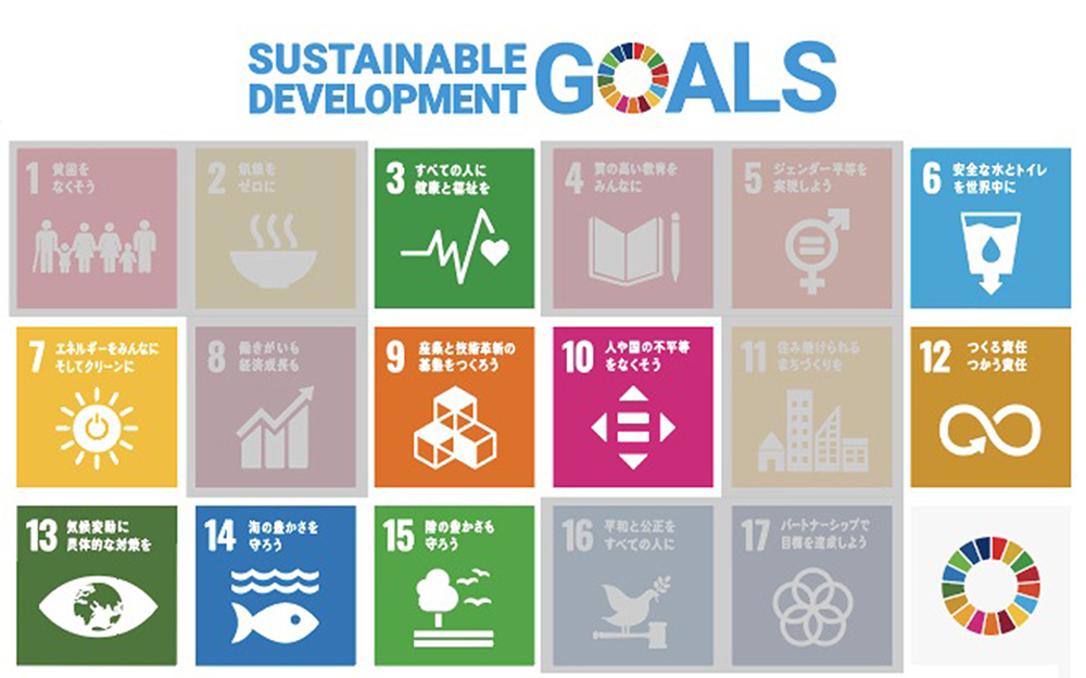 該当するSDGs９項目