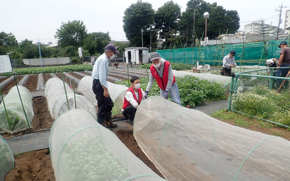 都市農地を福祉分野で活用する農福連携農園「すぎのこ農園」の様子