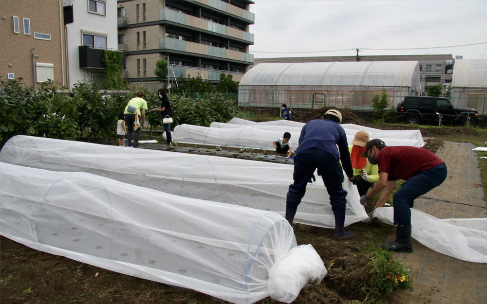 玉堤体験農園は１区画１０㎡。利用期間は４月～翌１月、入園料金１１万円。３年まで更新できる