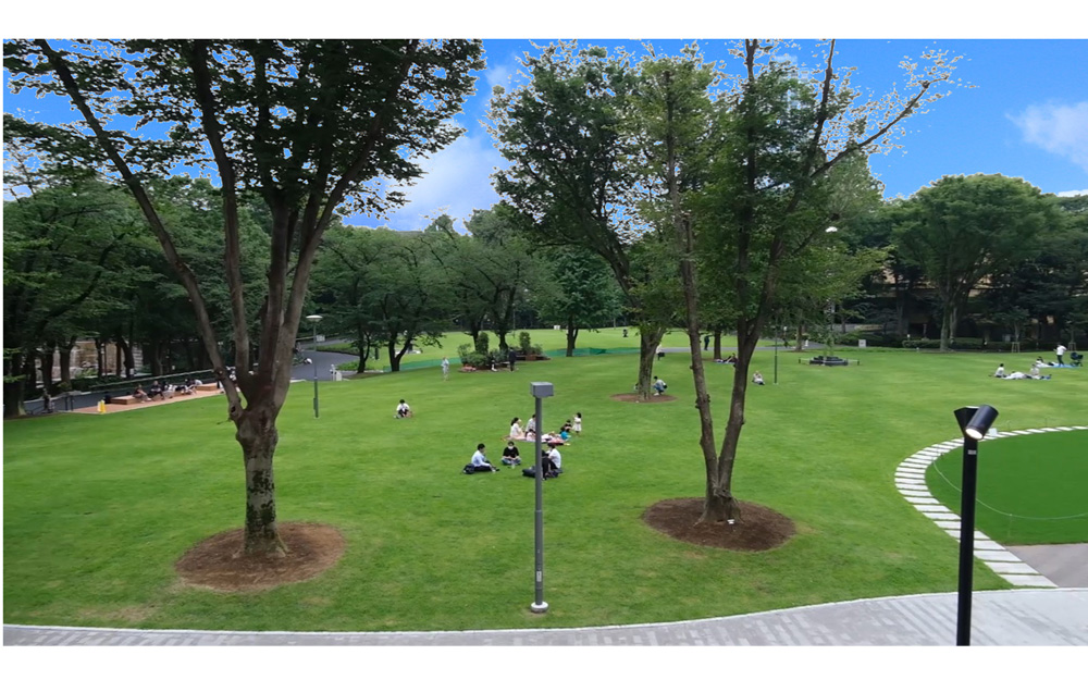 「七つの都市の森」の一つ新宿中央公園の芝生広場
