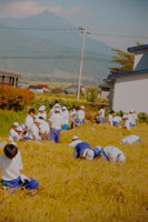 湯川村の米は最高級