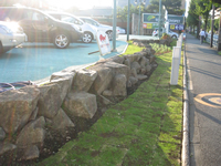 トヨタ自動車開発環境改善植物を施したカーテラス小平店
