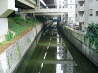 首都高の橋脚やビルで拡幅ができない古川(二之橋から上流を望む)