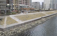 親水性を高めた緩傾斜型堤防(辰巳運河) (写真提供・東京都港湾局)