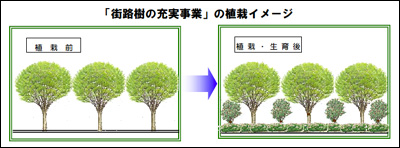 「街路樹の充実事業」の植栽イメージ