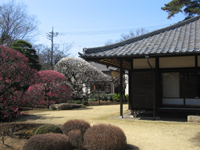梅の頃の美術館