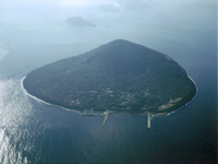 島全体が椿林で覆われた円錐形の利島