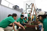 秋野菜の苗を植える銀座グリーンプロジェクトのメンバー