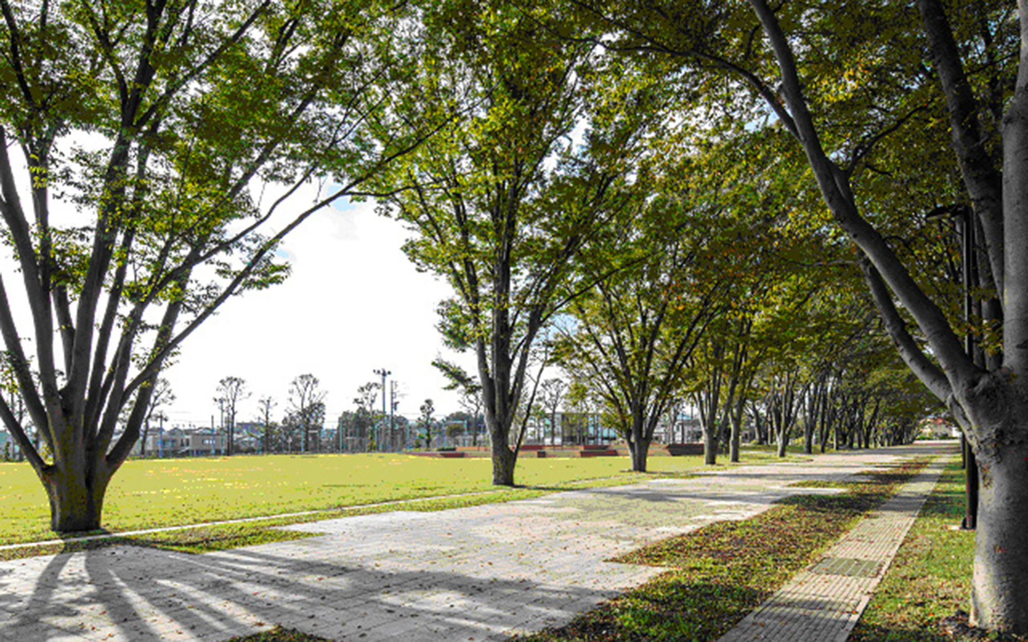 社会に貢献するために　第24回　東急株式会社
