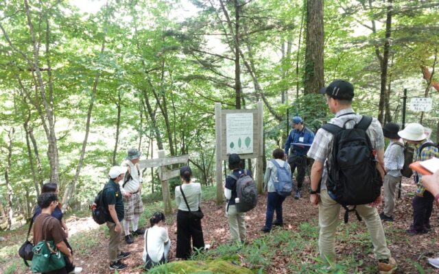 都立大 プレミアム・カレッジのフィールドワークの様子